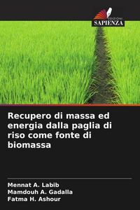 Produktbild: Recupero di massa ed energia dalla paglia di riso come fonte di biomassa
