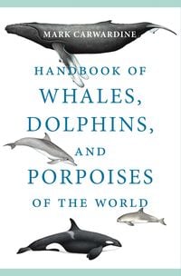Produktbild: Handbook of Whales, Dolphins, and Porpoises of the World