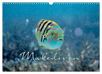 Produktbild: Unterwasserwelt der Malediven II (Wandkalender 2027 DIN A3 quer), CALVENDO Monatskalender