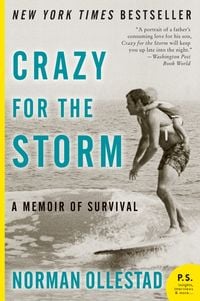 Produktbild: Crazy for the Storm