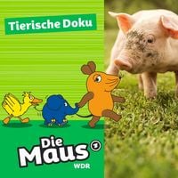 Produktbild: Die Maus, Tierische Doku - Tierheim D&uuml;ren