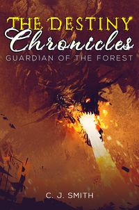 Produktbild: Destiny Chronicles