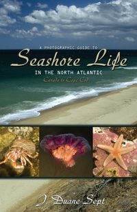 Produktbild: A Photographic Guide to Seashore Life in the North Atlantic
