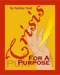 Produktbild: Crisis for a Purpose