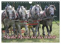 Produktbild: Starke Pferde bei der Arbeit (Wandkalender 2026 DIN A4 quer), CALVENDO Monatskalender