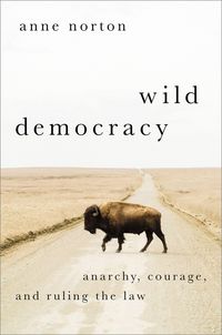 Produktbild: Wild Democracy