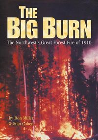 Produktbild: Big Burn