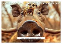 Produktbild: Selfie Shot (Desk Calendar 2026 DIN A5 landscape), CALVENDO 12 Month DeskCalendar