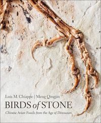 Produktbild: Birds of Stone