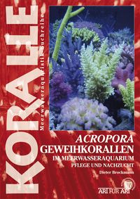 Produktbild: Acropora-Geweihkorallen im Meerwasseraquarium