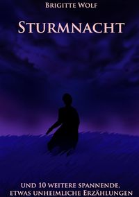 Produktbild: Sturmnacht