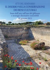 Produktbild: Diserbo nella conservazione dei Beni Culturali
