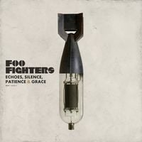 Produktbild: Echoes,Silence,Patience And Grace/Vinyl