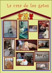 Produktbild: La casa de los gatos