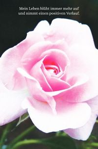 Produktbild: Schreibwandel Notizbuch "rosa Rose" (mit Reim-Affirmation)