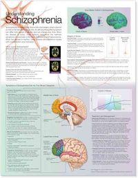 Produktbild: Understanding Schizophreni