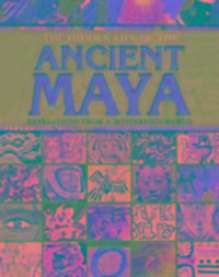 Produktbild: The Hidden Life of the Ancient Maya
