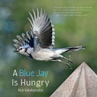 Produktbild: A Blue Jay is Hungry