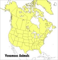 Produktbild: A Peterson Field Guide to Venomous Animals and Poisonous Plants