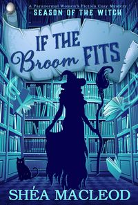 Produktbild: If the Broom Fits