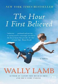 Produktbild: The Hour I First Believed