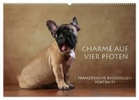Produktbild: Charme auf vier Pfoten - Franz&ouml;sische Bulldoggen Portraits (Wandkalender 2026 DIN A2 quer), CALVENDO Monatskalender