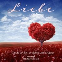 Produktbild: Liebe - Wie du ihr die T&uuml;r in dein Leben &ouml;ffnest
