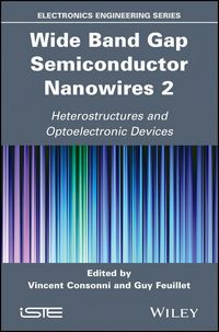 Produktbild: Wide Band Gap Semiconductor Nanowires 2