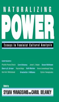 Produktbild: Naturalizing Power