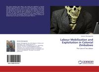 Produktbild: Labour Mobilization and Exploitation in Colonial Zimbabwe