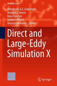 Produktbild: Direct and Large-Eddy Simulation X