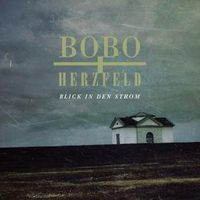 Bild vom Artikel Blick in den Strom vom Autor Bobo & Herzfeld
