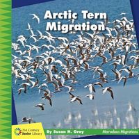 Produktbild: Arctic Tern Migration