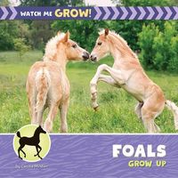 Produktbild: Foals Grow Up