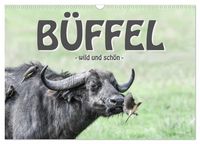 Produktbild: B&uuml;ffel - wild und sch&ouml;n (Wandkalender 2026 DIN A3 quer), CALVENDO Monatskalender
