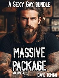 Produktbild: Massive Package - a Sexy Gay Bundle Volume 3