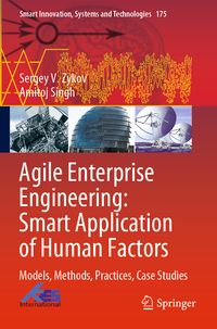 Produktbild: Agile Enterprise Engineering: Smart Application of Human Factors