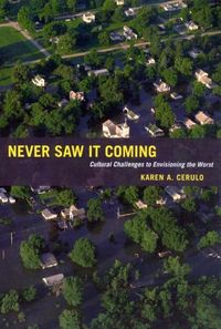 Produktbild: Cerulo, K: Never Saw It Coming - Cultural Challenges to Envi