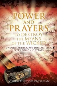 Bild vom Artikel Power and Prayers to Destroy the Means of the Wicked vom Autor Joshua Temitayo Obigbesan