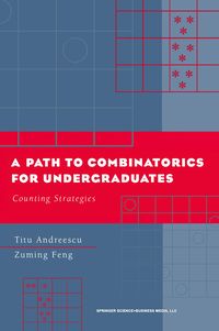 Produktbild: A Path to Combinatorics for Undergraduates