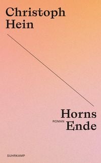 Bild vom Artikel Horns Ende vom Autor Christoph Hein