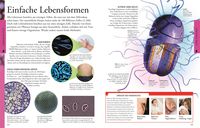 Wissen für clevere Kids. Naturwissenschaften für clevere Kids