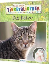 Produktbild: Meine gro&szlig;e Tierbibliothek: Die Katze