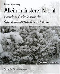 Produktbild: Allein in finsterer Nacht