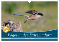 Produktbild: V&ouml;gel in der Extremadura (Wandkalender 2027 DIN A3 quer), CALVENDO Monatskalender