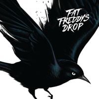 Bild vom Artikel Blackbird vom Autor Fat Freddys Drop