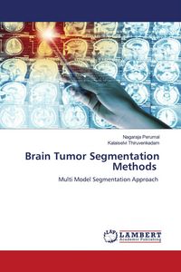 Produktbild: Brain Tumor Segmentation Methods