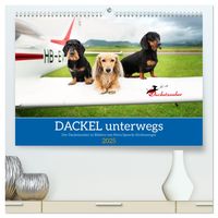 Dackel unterwegs (hochwertiger Premium Wandkalender 2025 DIN A2 quer), Kunstdruck in Hochglanz