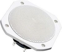 Produktbild: Visaton FRS 10 WP - 8 Ohm 4 Zoll 10 cm Breitb&auml;nder 25 W 8 Ω Wei&szlig; Saunalautsprecher, Einbaulautsprecher, Seewasserbest&auml;ndig