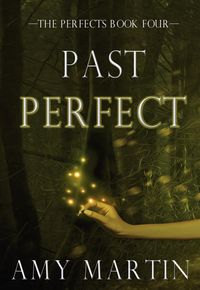 Produktbild: Past Perfect (The Perfects, #4)
